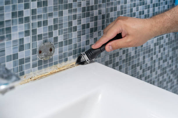 Best Mold Removal Near Me  in La Feria, TX